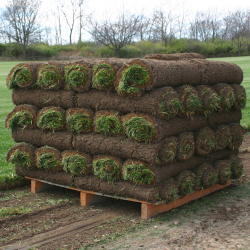 Palletized Small Roll